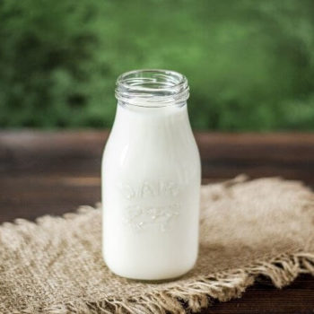 Krebsrisiko durch Milch