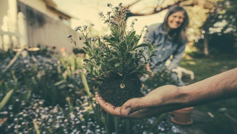 Tetanusinfektion durch Gartenarbeit